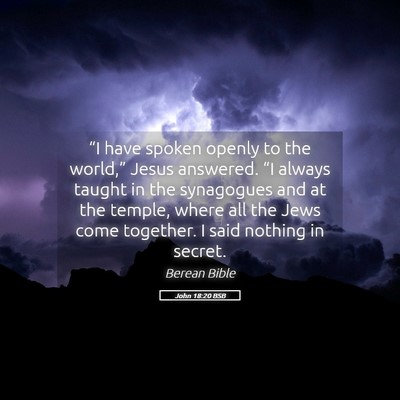 Picture 05 - John 18:20 BSB - “I have spoken openly to the world,” Jesus - Bible Verse Picture
