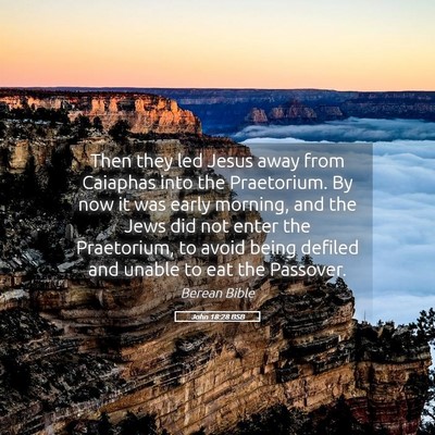 Picture 05 - John 18:28 BSB - Then they led Jesus away from Caiaphas into the - Bible Verse Picture