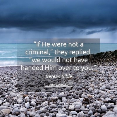 Picture 05 - John 18:30 BSB - “If He were not a criminal,” they replied, - Bible Verse Picture