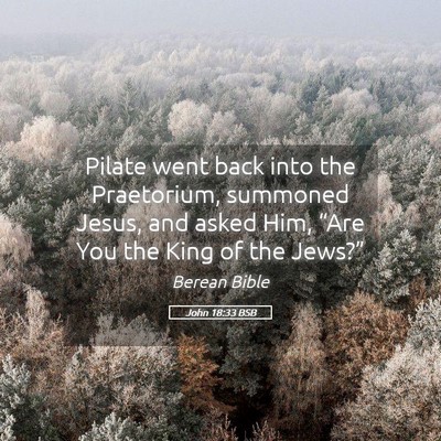 Picture 05 - John 18:33 BSB - Pilate went back into the Praetorium, summoned - Bible Verse Picture