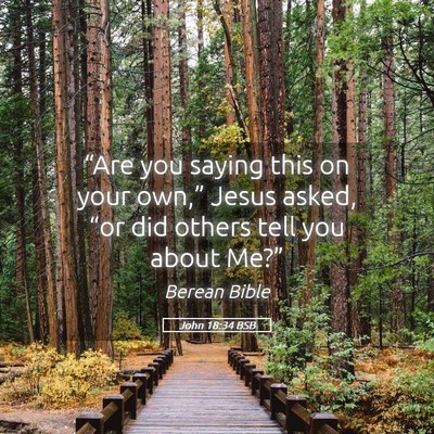 Picture 05 - John 18:34 BSB - “Are you saying this on your own,” Jesus - Bible Verse Picture