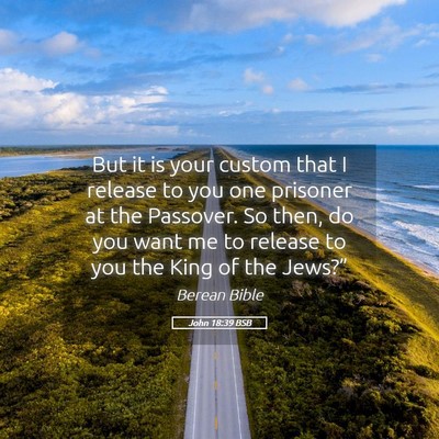 Picture 05 - John 18:39 BSB - But it is your custom that I release to you one - Bible Verse Picture