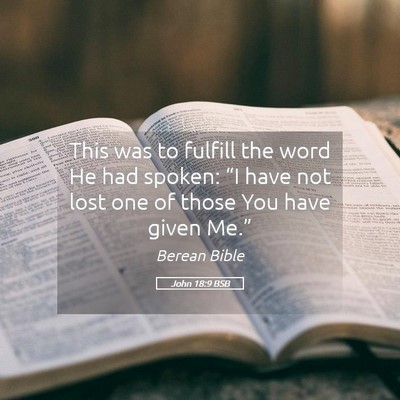 Picture 05 - John 18:9 BSB - This was to fulfill the word He had spoken: “I - Bible Verse Picture