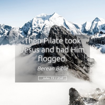 Picture 05 - John 19:1 BSB - Then Pilate took Jesus and had Him - Bible Verse Picture