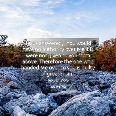 Picture 05 - John 19:11 BSB - Jesus answered, “You would have no authority - Bible Verse Picture