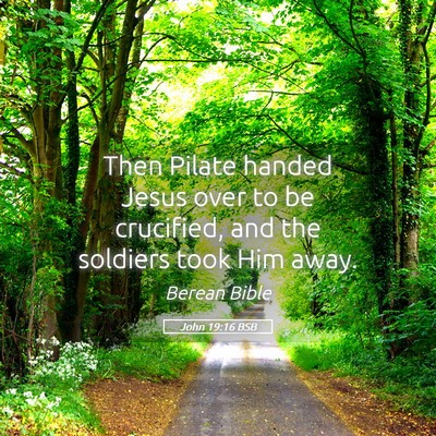 Picture 05 - John 19:16 BSB - Then Pilate handed Jesus over to be crucified, - Bible Verse Picture