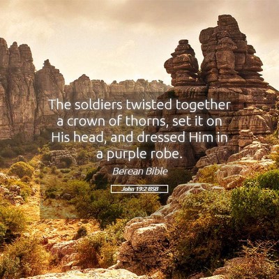 Picture 05 - John 19:2 BSB - The soldiers twisted together a crown of thorns, - Bible Verse Picture