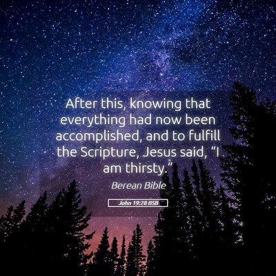 Picture 05 - John 19:28 BSB - After this, knowing that everything had now been - Bible Verse Picture