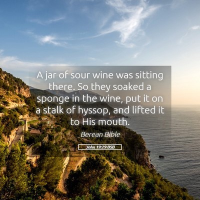 Picture 05 - John 19:29 BSB - A jar of sour wine was sitting there. So they - Bible Verse Picture