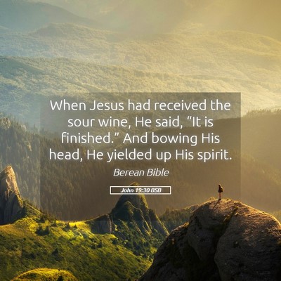 Picture 05 - John 19:30 BSB - When Jesus had received the sour wine, He said, - Bible Verse Picture