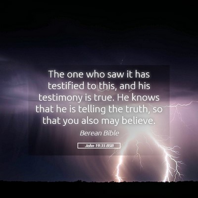 Picture 05 - John 19:35 BSB - The one who saw it has testified to this, and his - Bible Verse Picture