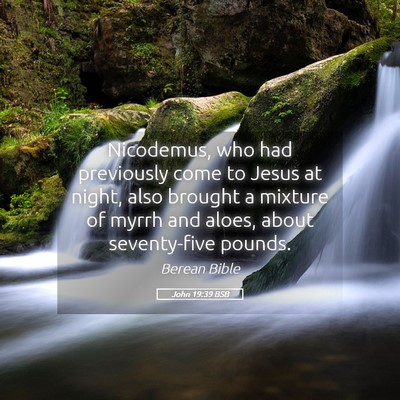 Picture 05 - John 19:39 BSB - Nicodemus, who had previously come to Jesus at - Bible Verse Picture