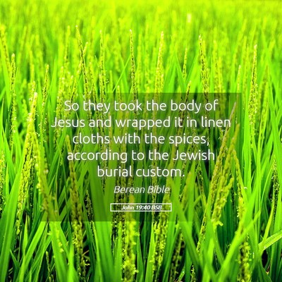 Picture 05 - John 19:40 BSB - So they took the body of Jesus and wrapped it in - Bible Verse Picture