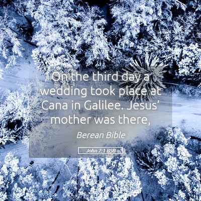 Picture 05 - John 2:1 BSB - On the third day a wedding took place at Cana in - Bible Verse Picture