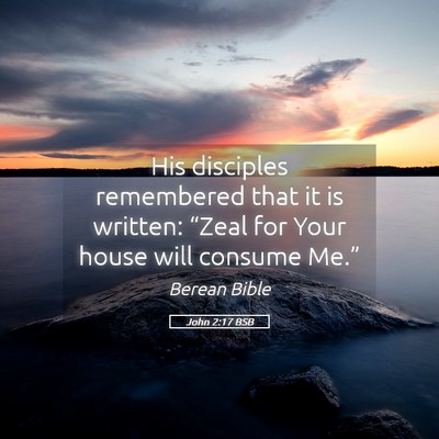 Picture 05 - John 2:17 BSB - His disciples remembered that it is written: - Bible Verse Picture