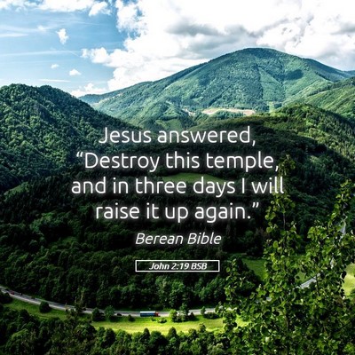 Picture 05 - John 2:19 BSB - Jesus answered, “Destroy this temple, and in - Bible Verse Picture