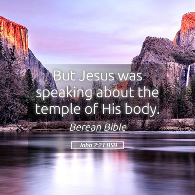 Picture 05 - John 2:21 BSB - But Jesus was speaking about the temple of His - Bible Verse Picture