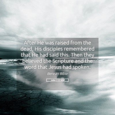 Picture 05 - John 2:22 BSB - After He was raised from the dead, His disciples - Bible Verse Picture