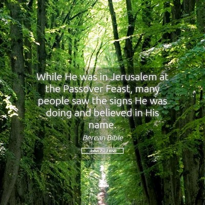 Picture 05 - John 2:23 BSB - While He was in Jerusalem at the Passover Feast, - Bible Verse Picture