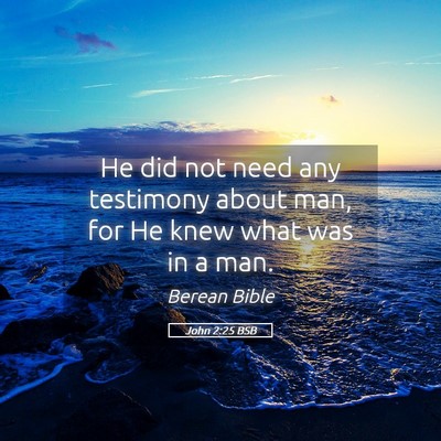 Picture 05 - John 2:25 BSB - He did not need any testimony about man, for He - Bible Verse Picture