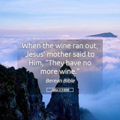 Picture 05 - John 2:3 BSB - When the wine ran out, Jesus’ mother said to - Bible Verse Picture