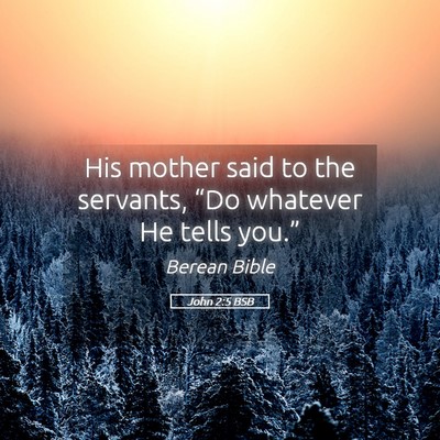 Picture 05 - John 2:5 BSB - His mother said to the servants, “Do whatever - Bible Verse Picture