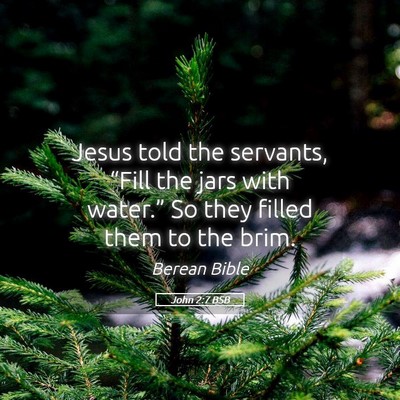 Picture 05 - John 2:7 BSB - Jesus told the servants, “Fill the jars with - Bible Verse Picture