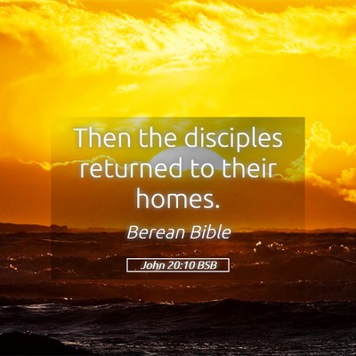 Picture 05 - John 20:10 BSB - Then the disciples returned to their - Bible Verse Picture