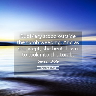 Picture 05 - John 20:11 BSB - But Mary stood outside the tomb weeping. And as - Bible Verse Picture