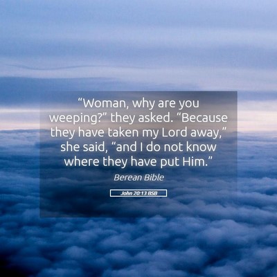 Picture 05 - John 20:13 BSB - “Woman, why are you weeping?” they asked. - Bible Verse Picture