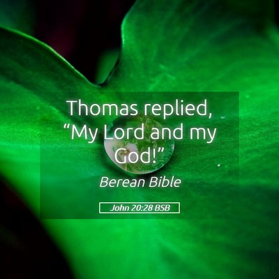 Picture 05 - John 20:28 BSB - Thomas replied, “My Lord and my - Bible Verse Picture