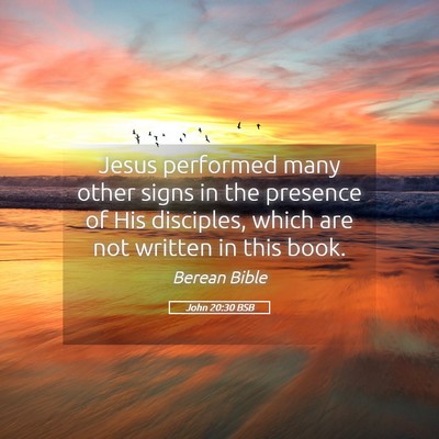 Picture 05 - John 20:30 BSB - Jesus performed many other signs in the presence - Bible Verse Picture