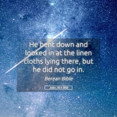 Picture 05 - John 20:5 BSB - He bent down and looked in at the linen cloths - Bible Verse Picture