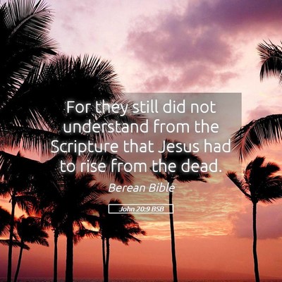 Picture 05 - John 20:9 BSB - For they still did not understand from the - Bible Verse Picture