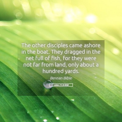 Picture 05 - John 21:8 BSB - The other disciples came ashore in the boat. They - Bible Verse Picture