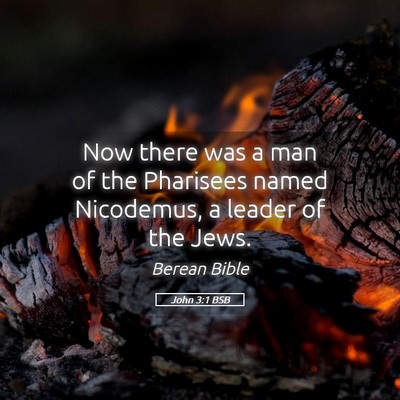 Picture 05 - John 3:1 BSB - Now there was a man of the Pharisees named - Bible Verse Picture