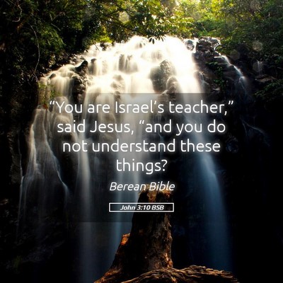 Picture 05 - John 3:10 BSB - “You are Israel’s teacher,” said Jesus, - Bible Verse Picture