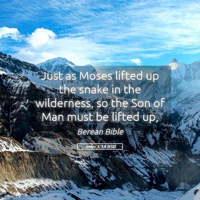 Picture 05 - John 3:14 BSB - Just as Moses lifted up the snake in the - Bible Verse Picture