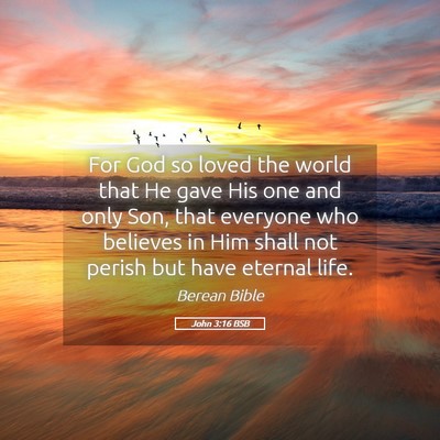 Picture 05 - John 3:16 BSB - For God so loved the world that He gave His one - Bible Verse Picture