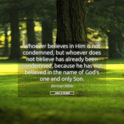Picture 05 - John 3:18 BSB - Whoever believes in Him is not condemned, but - Bible Verse Picture