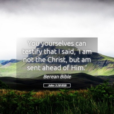 Picture 05 - John 3:28 BSB - You yourselves can testify that I said, ‘I am - Bible Verse Picture