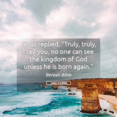 Picture 05 - John 3:3 BSB - Jesus replied, “Truly, truly, I tell you, no - Bible Verse Picture