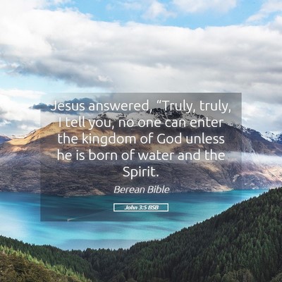 Picture 05 - John 3:5 BSB - Jesus answered, “Truly, truly, I tell you, no - Bible Verse Picture