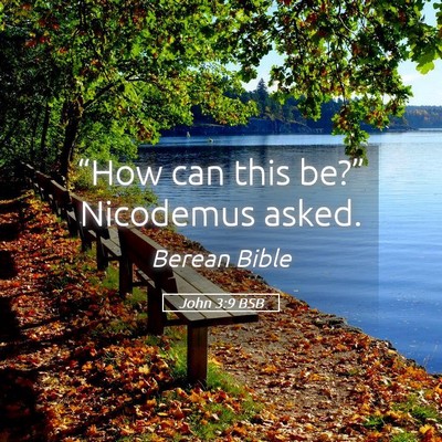 Picture 05 - John 3:9 BSB - “How can this be?” Nicodemus - Bible Verse Picture