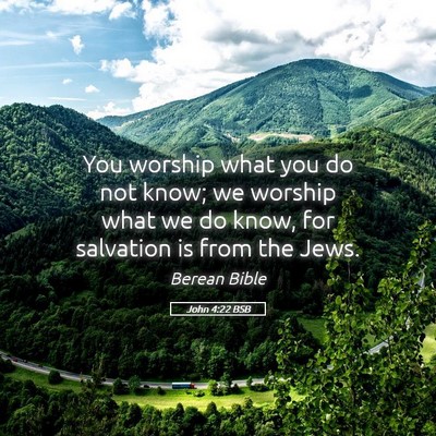 Picture 05 - John 4:22 BSB - You worship what you do not know; we worship what - Bible Verse Picture