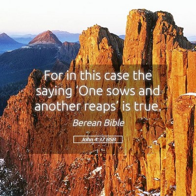 Picture 05 - John 4:37 BSB - For in this case the saying ‘One sows and - Bible Verse Picture
