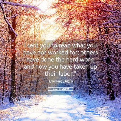 Picture 05 - John 4:38 BSB - I sent you to reap what you have not worked for; - Bible Verse Picture