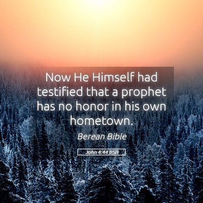 Picture 05 - John 4:44 BSB - Now He Himself had testified that a prophet has - Bible Verse Picture