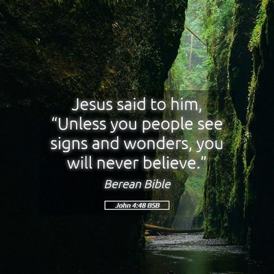 Picture 05 - John 4:48 BSB - Jesus said to him, “Unless you people see signs - Bible Verse Picture