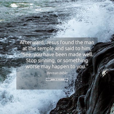 Picture 05 - John 5:14 BSB - Afterward, Jesus found the man at the temple and - Bible Verse Picture
